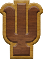 2-3/4 Inch Large Double Raised Wood Letter PSI