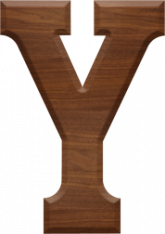 3-1/2 Inch Wood Letter Y