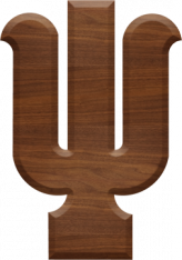 5 Inch Wood Letter PSI