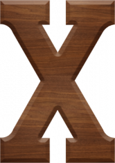 5 Inch Wood Letter X - CHI