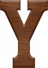 5 Inch Wood Letter Y