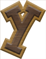 2-3/4 Inch Large Double Raised Fiesta Letter Y