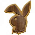 Playboy Bunny