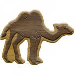 Camel Symbol