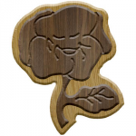 Pansy Symbol
